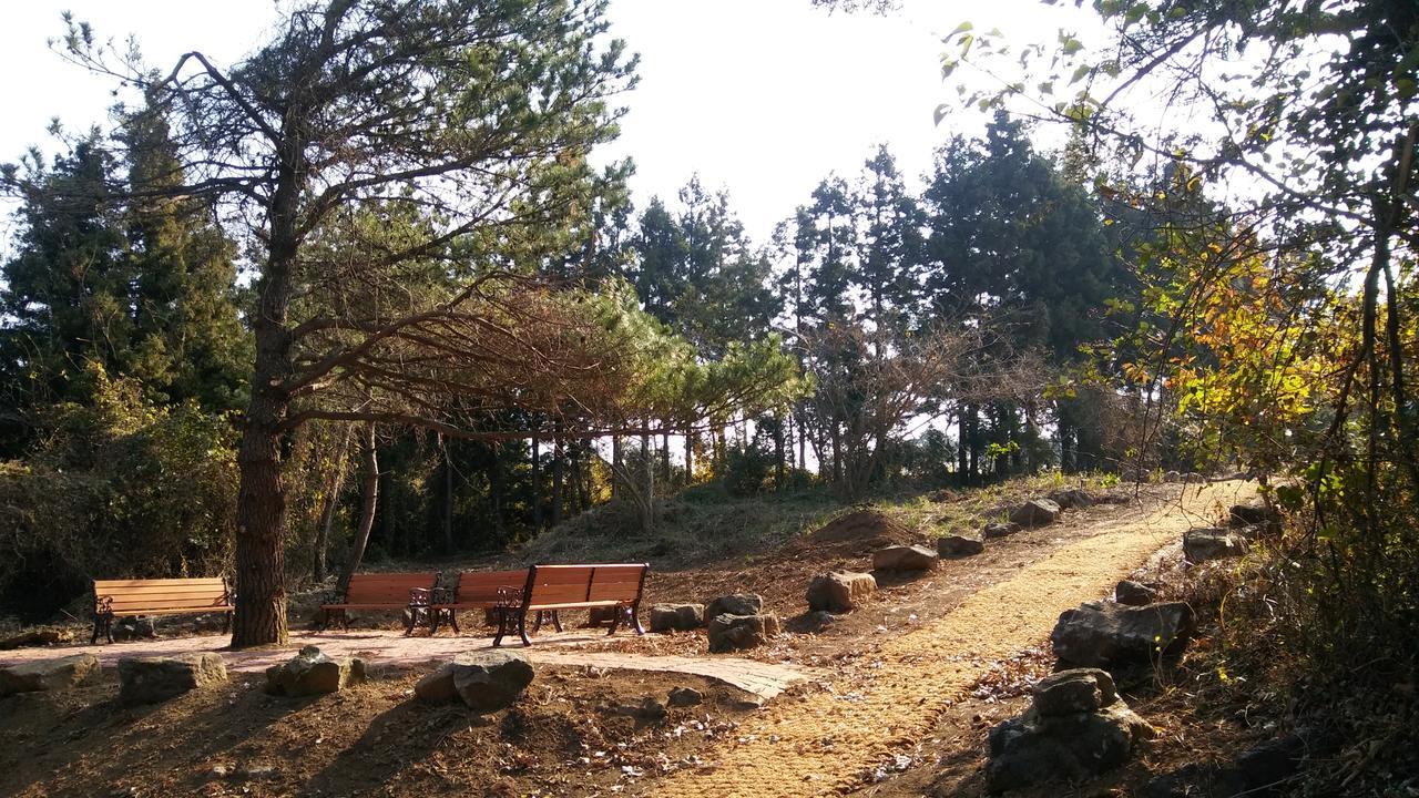 Jeju Youth Hostel Extérieur photo